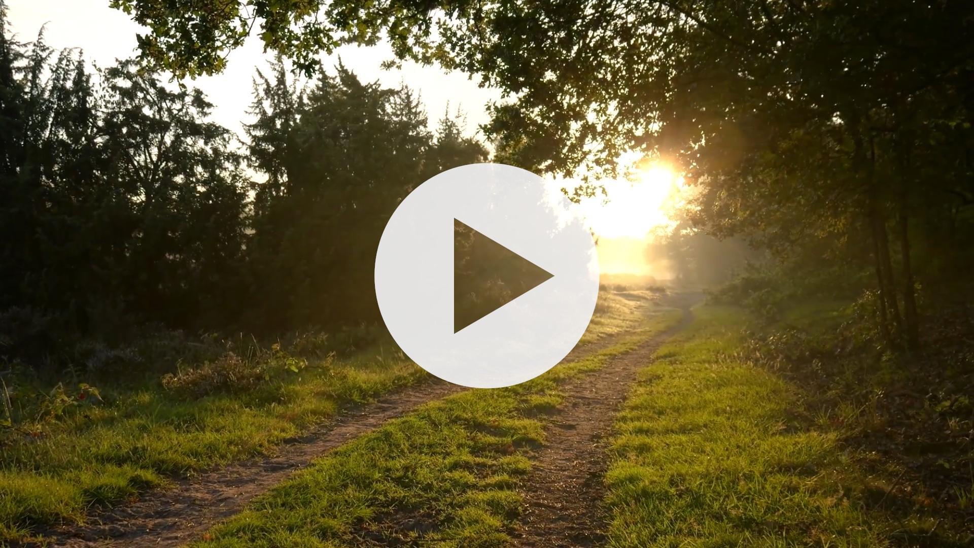 vidéo confidentielle comment la reikiogie arrête le malaise psychologique